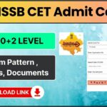 RSMSSB CET Level Admit Card 2024